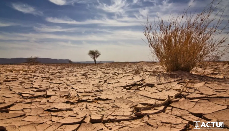 L’IA au Secours de la Corne de l’Afrique face au Changement Climatique